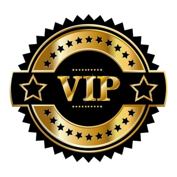 VIP Membership - Image 22