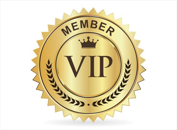 VIP Membership - Image 32