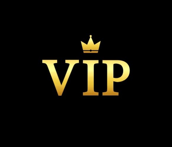VIP Membership - Image 26