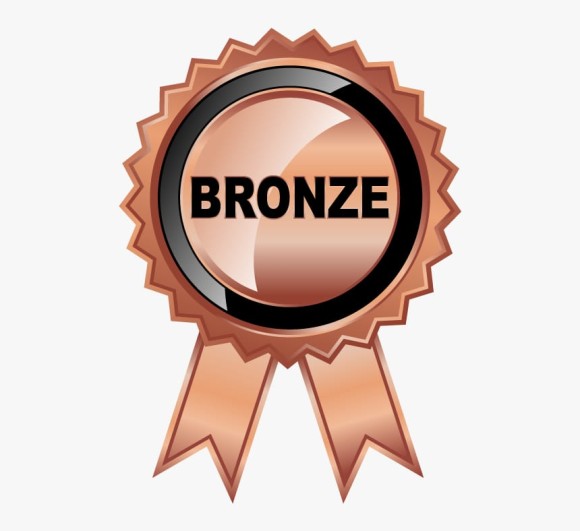 Bronze Membership - Image 8