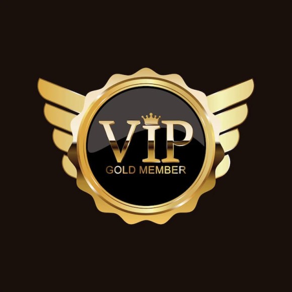 VIP Membership - Image 24