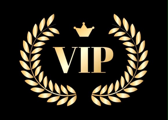 VIP Membership - Image 3